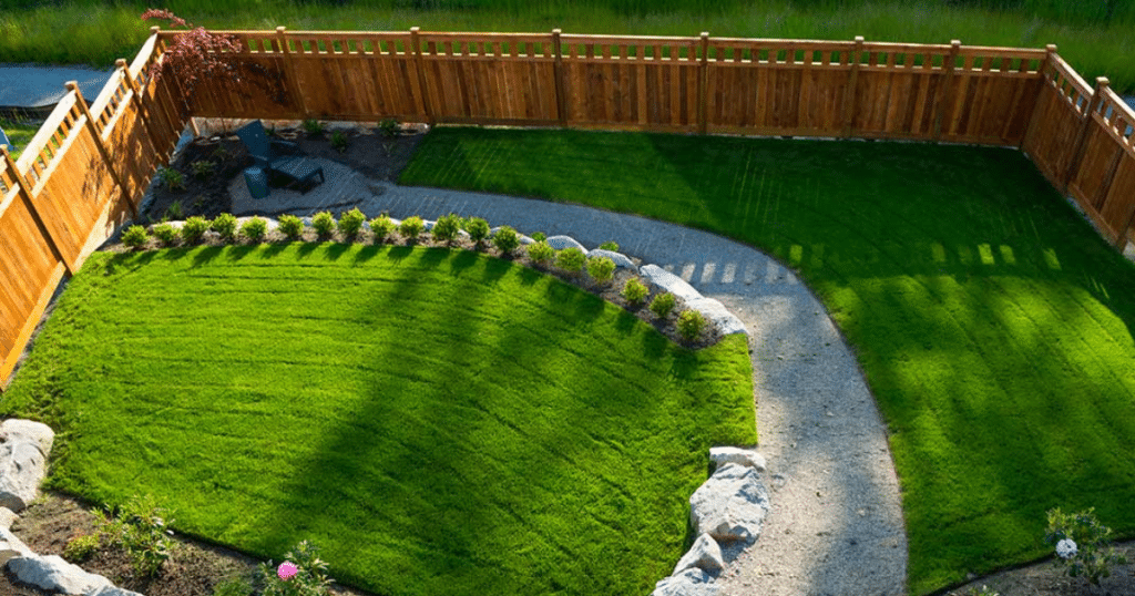 Lush backyard lawn with curved gravel path.