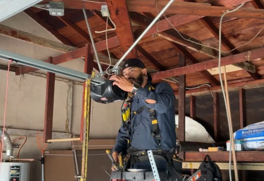 professional garage door service near me